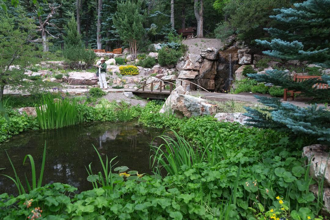 Betty Ford Alpine Gardens